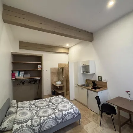 Appartement Rue Chenoise Hyper Centre Grenoble
